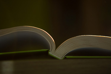 Similar image 21043562