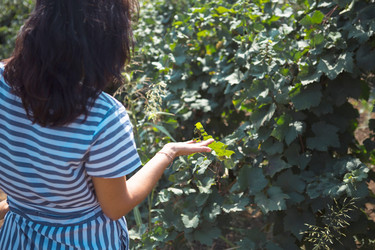 Similar image 21022894