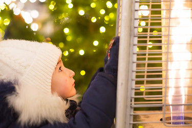 Similar image 21035764