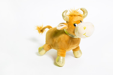 Similar image 21036002