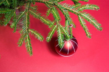 Similar image 21036003