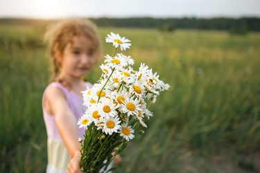 Similar image 21022473