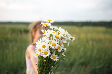 Similar image 21022474