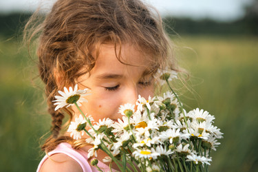 Similar image 21022942