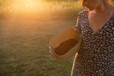 Similar image 21035799