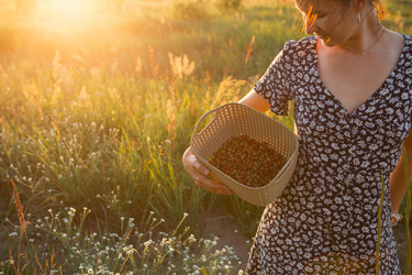 Similar image 21035801