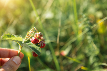 Similar image 21036019