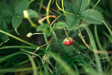 Similar image 21036024