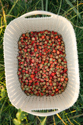 Similar image 21036025