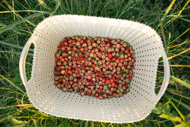 Similar image 21036027