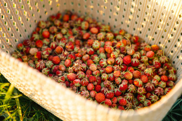 Similar image 21036028