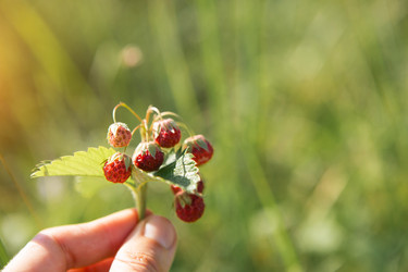 Similar image 21043482