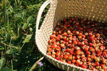 Similar image 21043484