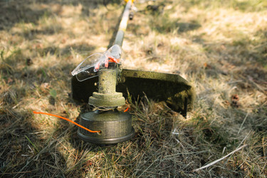 Similar image 21043486