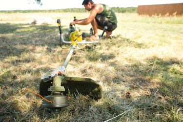 Similar image 21043487