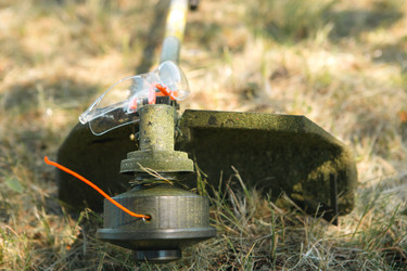 Similar image 21043573