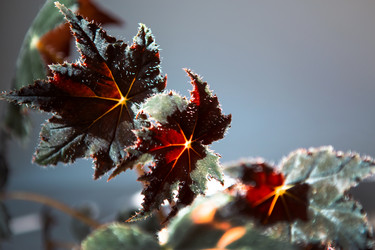 Similar image 21022091