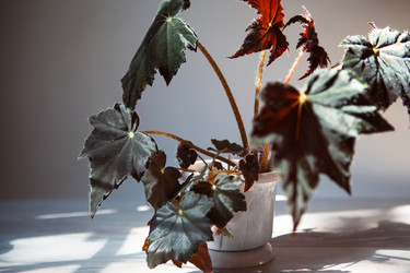 Similar image 21022093