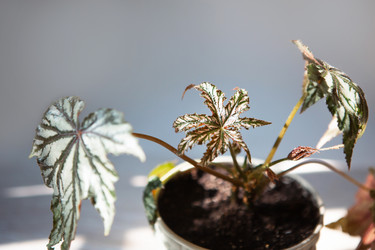 Similar image 21022276