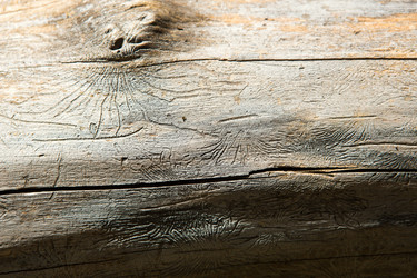 Similar image 21043877