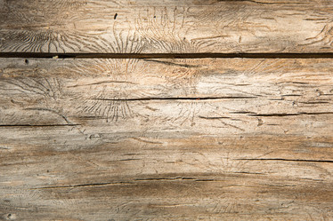 Similar image 21043878