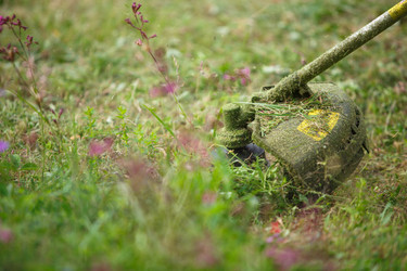 Similar image 21067246