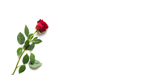 Similar image 21022981