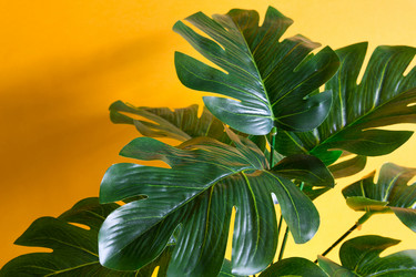 Similar image 21055316