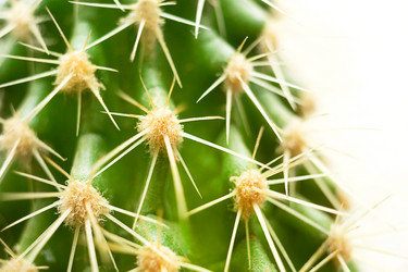 Similar image 21067263