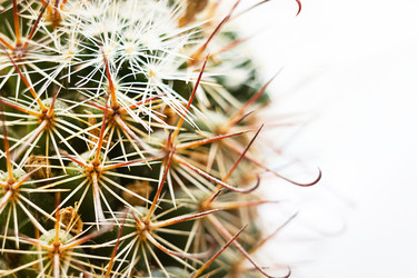 Similar image 21067264