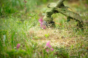 Similar image 21067276