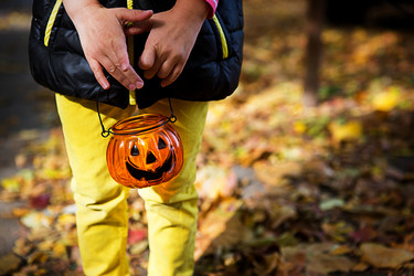 Similar image 21061835