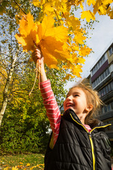 Similar image 21061837