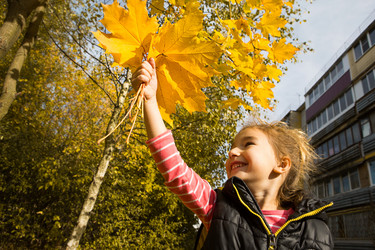 Similar image 21061838