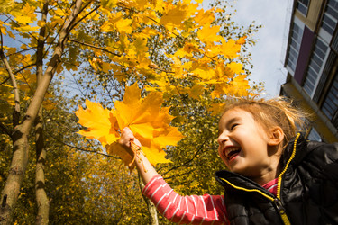 Similar image 21061839