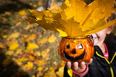 Similar image 21061840