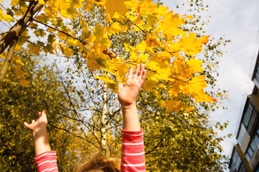 Similar image 21061841