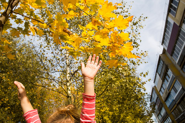 Similar image 21061842