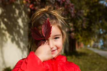 Similar image 21061846