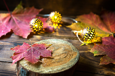 Similar image 21067299