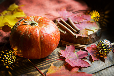 Similar image 21067312