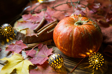 Similar image 21067314