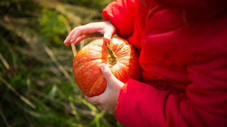 Similar image 21067326