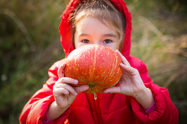 Similar image 21067327