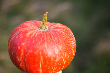 Similar image 21067328