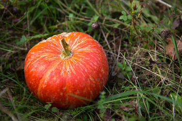 Similar image 21067329