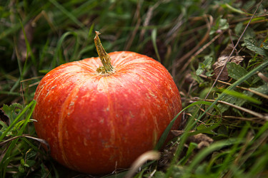 Similar image 21067330