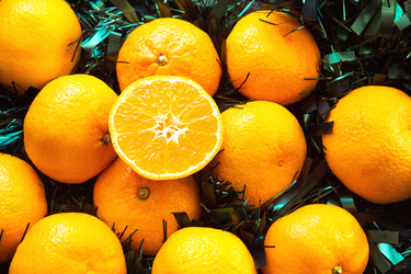 Similar image 21070504