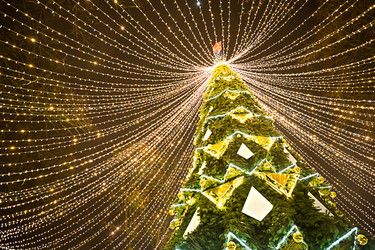 Similar image 21070517