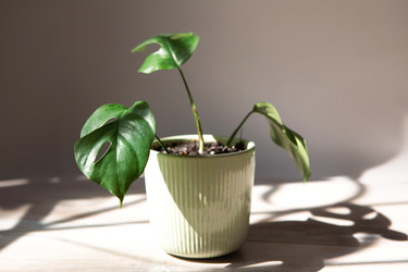 Similar image 21070391